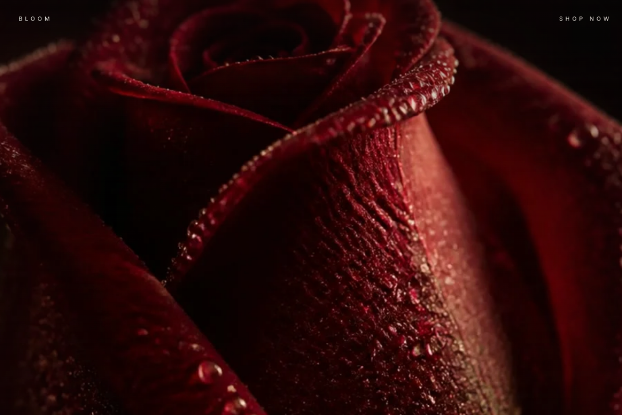 BLOOM — Couture Lipstick Atelier, a project by 8orbits